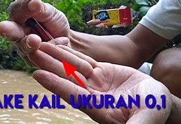 Ukuran Kail Ikan Wader